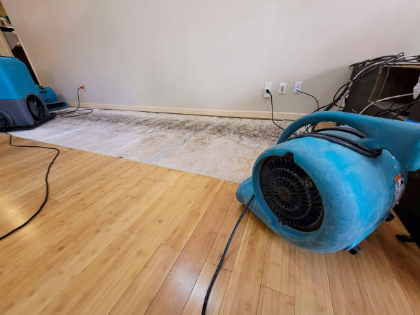 Professional Water Damage Repair technician working in Dayton, OH